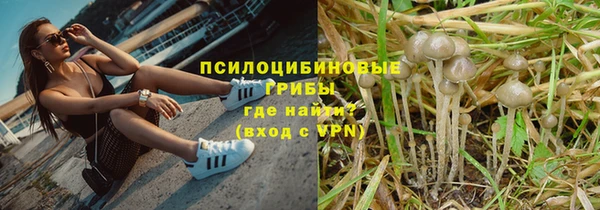 трава Абаза