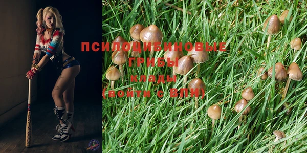 spice Абдулино