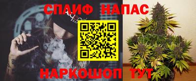 мдпв Кимры