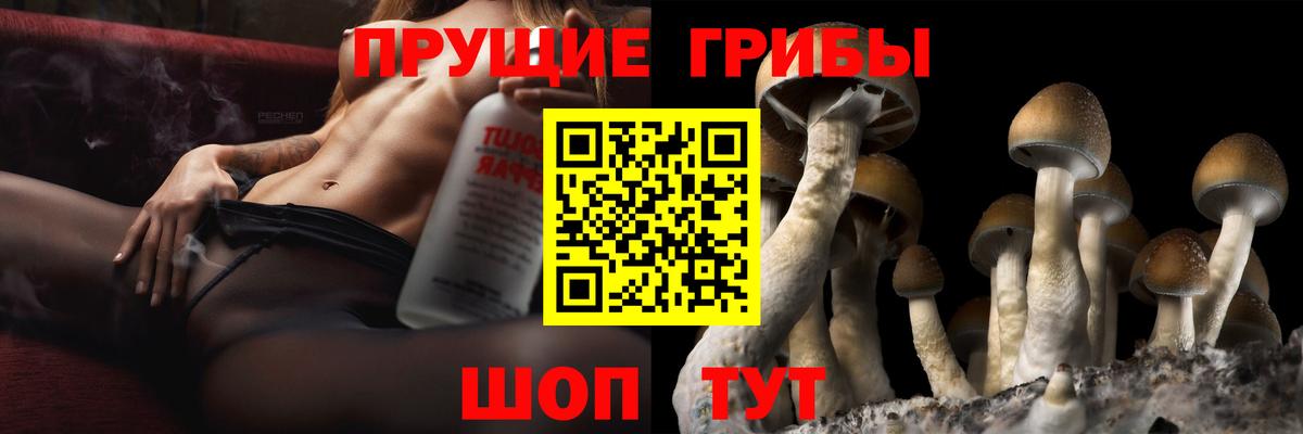 Энгельс  даркнет сайт  Вход с VPN  Псилоцибиновые грибы мухоморы 